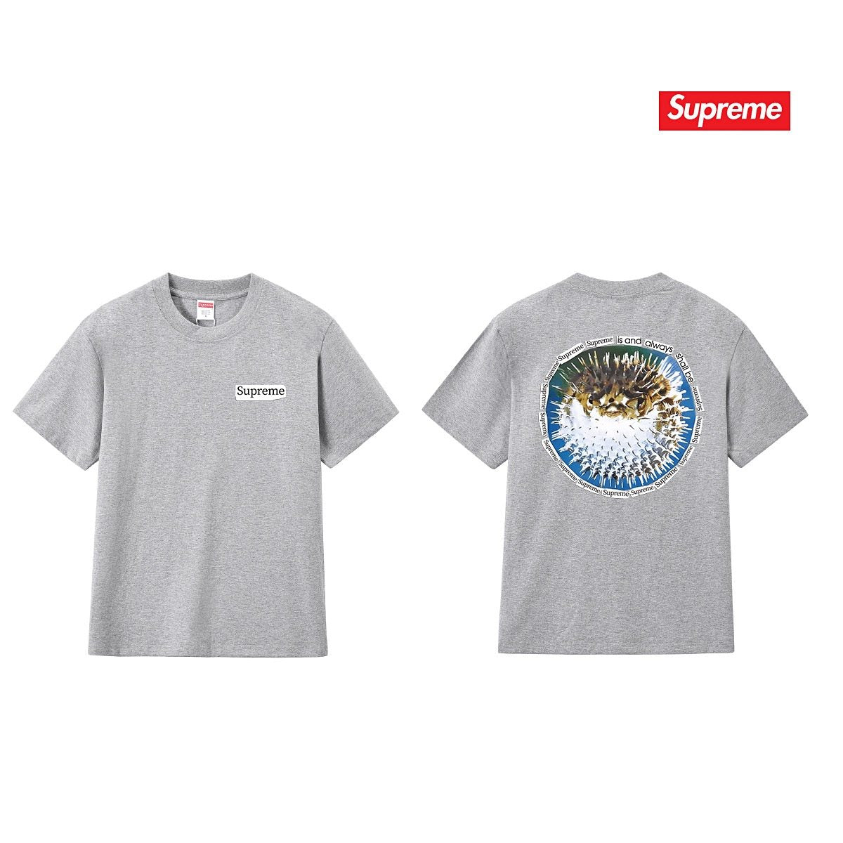 Supreme Pufferfish Back Graphic T-Shirt — comparison
